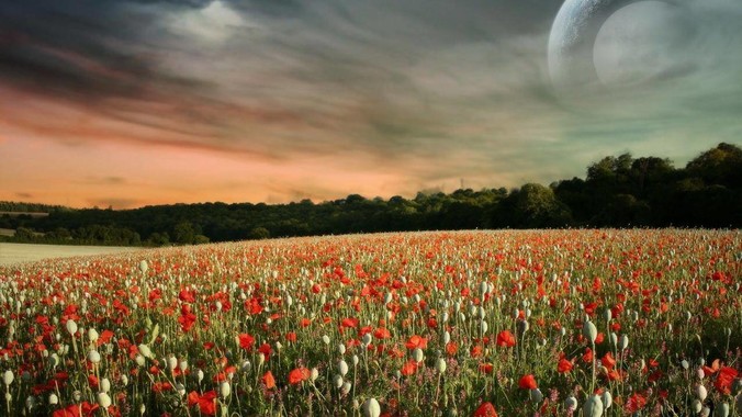 汉人最伟大、最出色、能力最强、功绩最大的政治家军事家是谁?